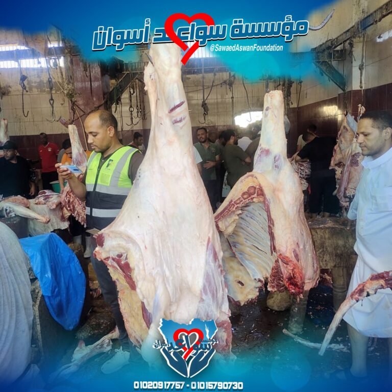 مؤسسة سواعد أسوان