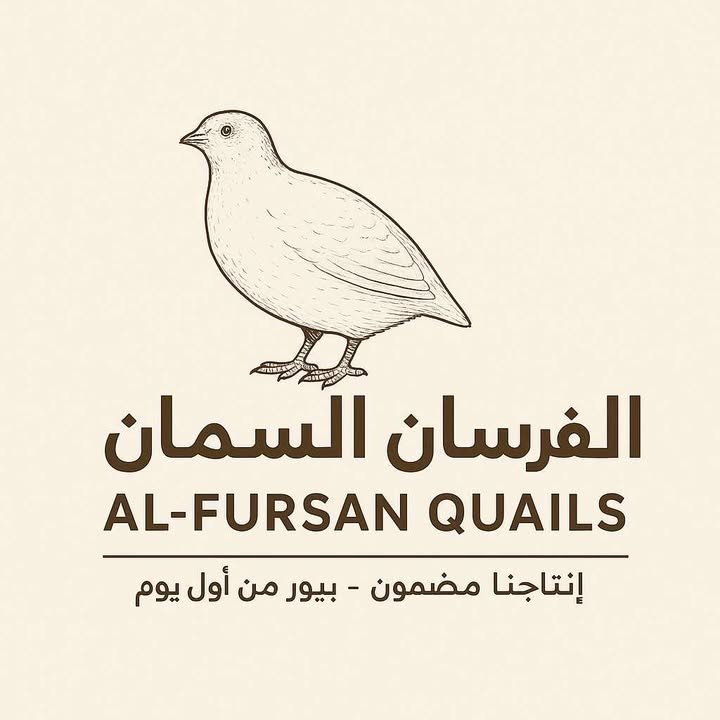 شركة الفرسان تنطلق بقوة في السوق المصري